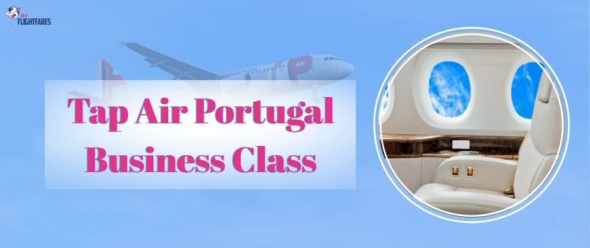 TAP Air Portugal Business Class – Here’s what to expect
